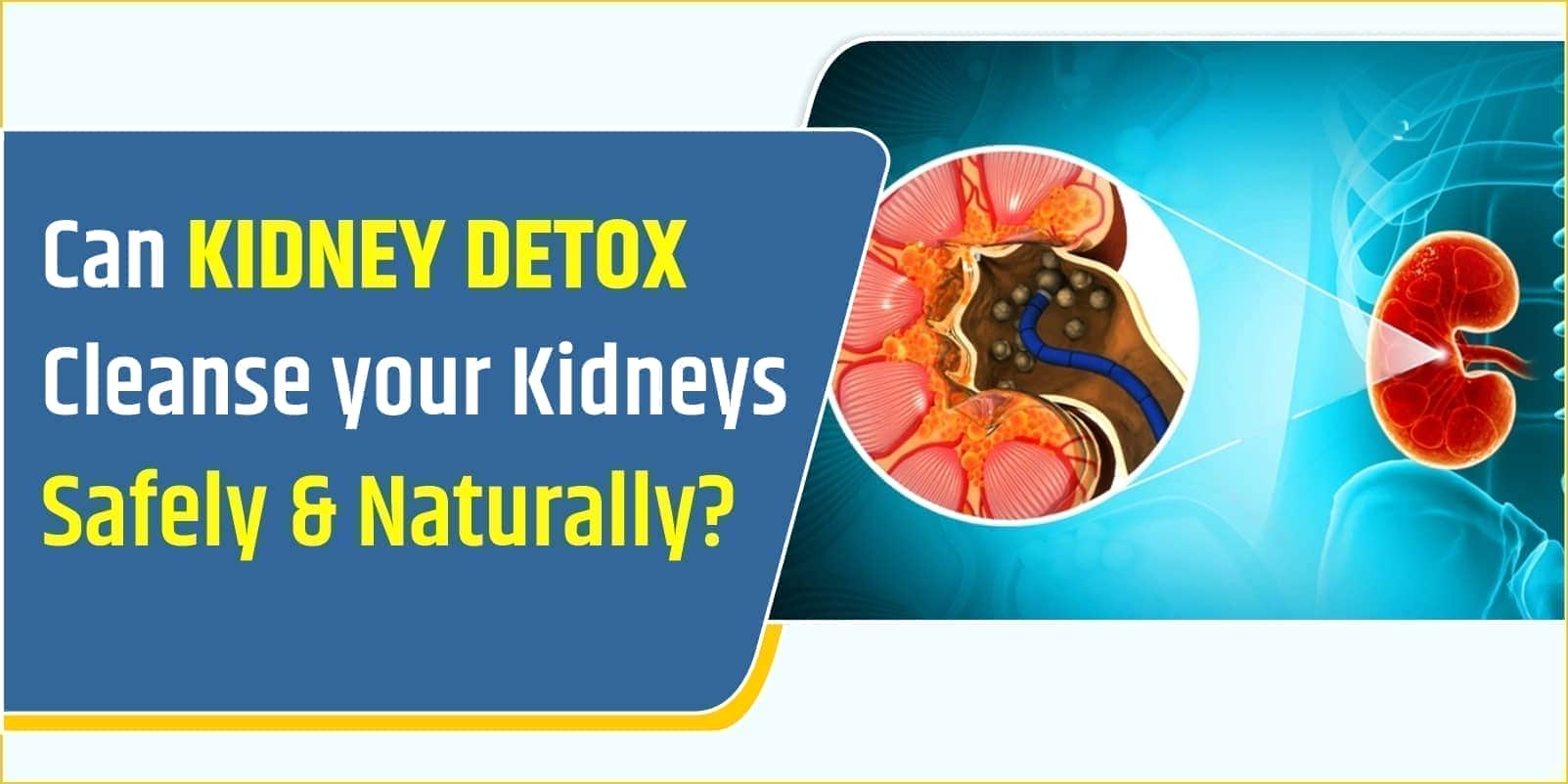 Can Kidney Detox Cleanse your Kidneys Safely & Naturally?
